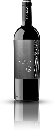 [8437005068230] Ateca Old Vines 2009 0,75 lt